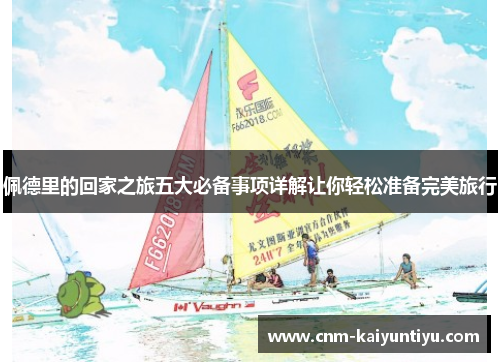 佩德里的回家之旅五大必备事项详解让你轻松准备完美旅行 佩德里的回家之旅五大必备事项详解让你轻松准备完美旅行