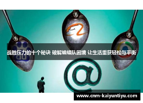 战胜压力的十个秘诀 破解蝙蝠队困境 让生活重获轻松与平衡