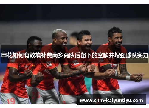 申花如何有效填补费南多离队后留下的空缺并增强球队实力