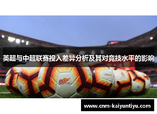 英超与中超联赛投入差异分析及其对竞技水平的影响