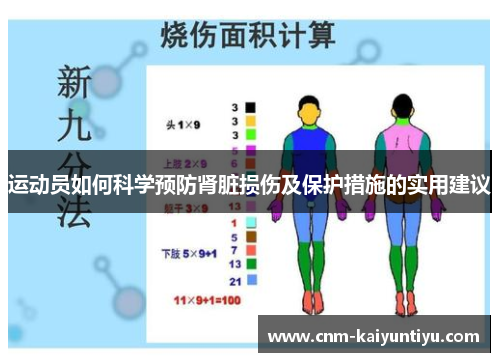 运动员如何科学预防肾脏损伤及保护措施的实用建议 运动员如何科学预防肾脏损伤及保护措施的实用建议